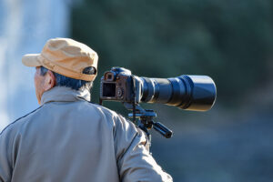 Read more about the article Sigma 60-600 mm kontra Sony 200-600 mm